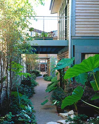 Peacock lofts