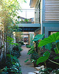 Peacock Lofts